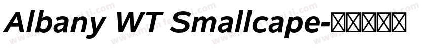 Albany WT Smallcape字体转换